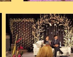 Branch & Crystal Stage Seating - Ahmedabad Event Management