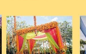 Greenery Wall with Marigold Swags - Ahmedabad Event Management