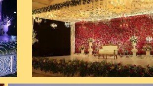 Reception Floral Wall Stage - Ahmedabad Event Management